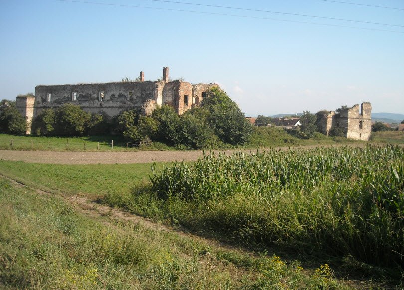 Ruinele Castelul Martinuzzi, Vințu de Jos, Romania, Romania